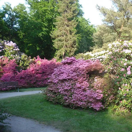Ferienobjekt Mueritz A2